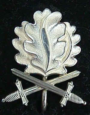 Chevalier-Croix-Fer-Feuilles-Epee.jpg (48126 octets)