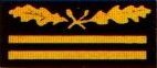 SS-Gruppenfuhrer2.jpg (3405 octets)