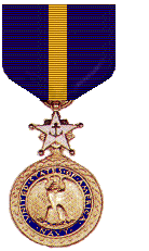 DSM(Navy).gif (11461 octets)